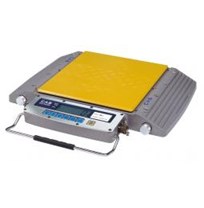 CÂN XE TẢI XÁCH TAY RW-10S